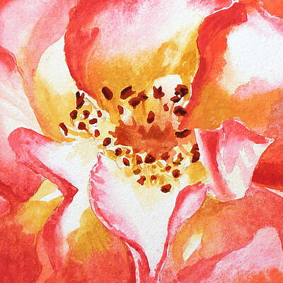 Roses Paintings - Rose Close Up Painting by Irina Sztukowski by Irina Sztukowski