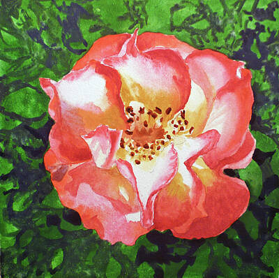 Roses Paintings - Rose  by Irina Sztukowski