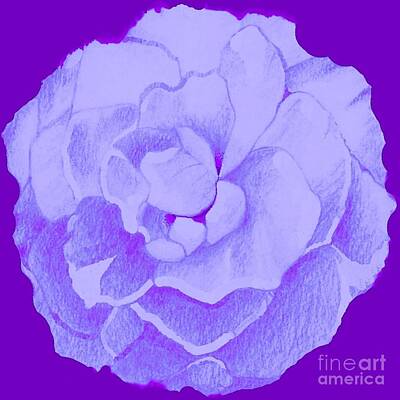 Best Sellers - Roses Digital Art - Rose On Purple by Helena Tiainen