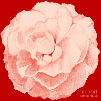 Best Sellers - Roses Digital Art - Rose On Red by Helena Tiainen