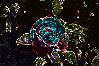 Roses Photos - Rose Outline Abstract by Linda Brody