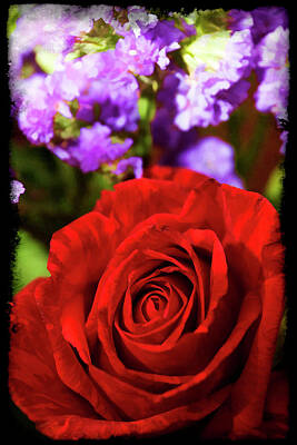 Roses Royalty-Free and Rights-Managed Images - Roses Are Red II by Ricky Barnard