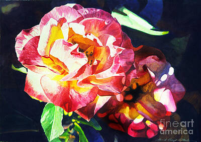 Roses Royalty-Free and Rights-Managed Images - Watercolor Roses by David Lloyd Glover