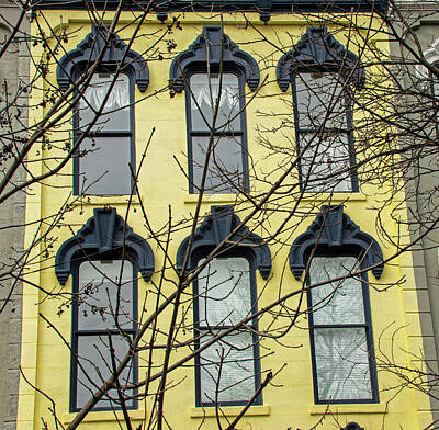 Ira Marcus Royalty-Free and Rights-Managed Images - Rowhouse Windows by Ira Marcus