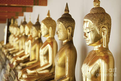 Lake Life - Row of Buddhas by Anthony Totah