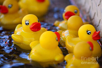 Beastie Boys - Rubber Duckies by Anthony Totah
