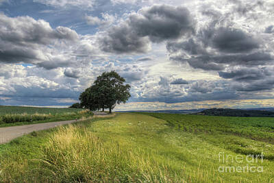 Little Mosters - Rural landscape with dramatic sky by Michal Boubin