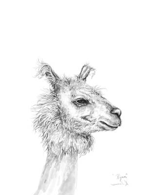Mammals Drawings Rights Managed Images - Ryan Royalty-Free Image by Kristin Llamas