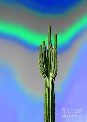 Solar System Posters - Saguaro Cactus Meditation by Wernher Krutein