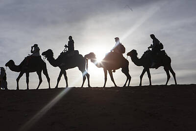 Safari - Sahara Desert Camel Caravan by Richard Nowitz