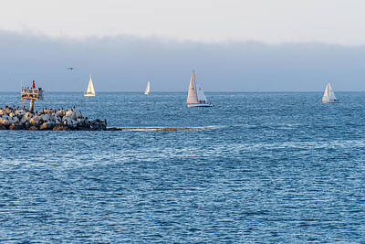 Winter Wonderland Rights Managed Images - Sailing on the Bay Royalty-Free Image by Derek Dean