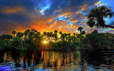 Mark Andrew Thomas Rights Managed Images - Saint Lucie River Sunset Royalty-Free Image by Mark Andrew Thomas