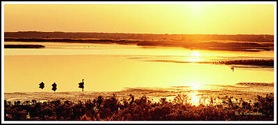 Lucille Ball Rights Managed Images - Salt Marsh at Sunset Royalty-Free Image by A Macarthur Gurmankin