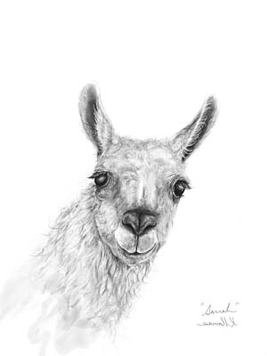 Mammals Drawings - Sarrah by Kristin Llamas