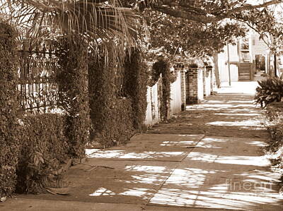 Vintage Performace Cars - Savannah Sepia - Shadowed Sidewalk by Carol Groenen