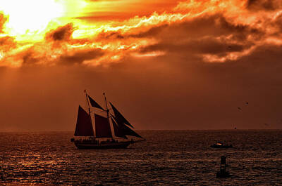 Hood Ornaments And Emblems - Schooner in the Sunset by Maria Keady