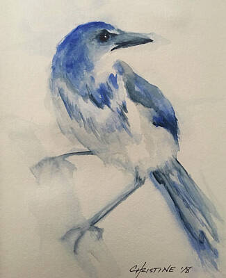 Roses Paintings - Scrubjay by Christine Marie Rose