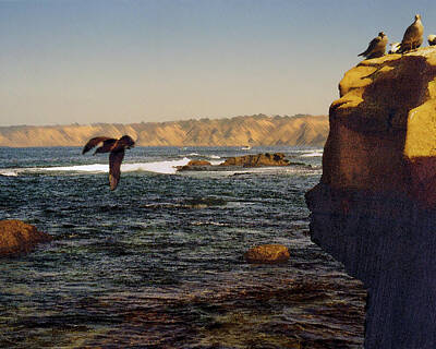 Digital Art - Sea Cliff by Steve Karol