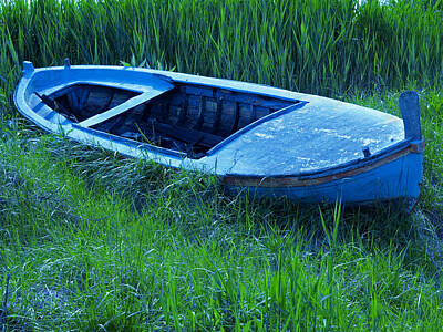 Caravaggio Royalty Free Images - Sea Of Grass Royalty-Free Image by Shu Fu