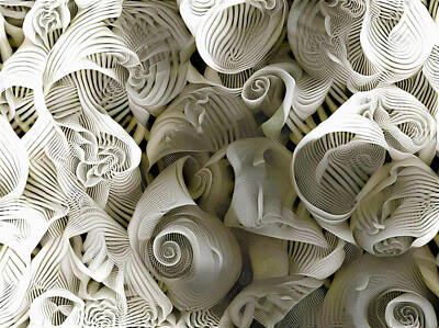 Beach Digital Art - Sea Shells by Bruce Rolff