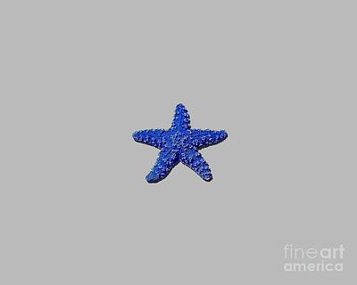 New Years Royalty Free Images - Sea Star Navy Blue .png Royalty-Free Image by Al Powell Photography USA