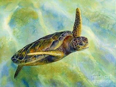 Royalty-Free and Rights-Managed Images - Sea Turtle 2 by Hailey E Herrera