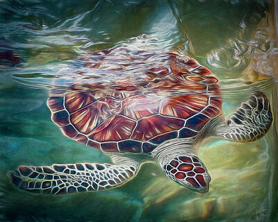 Reptiles Photos - Sea Turtle Dive by Teresa Wilson