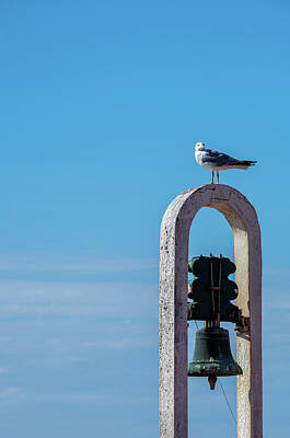 Travel Royalty Free Images - Seagull and the bell Royalty-Free Image by Paulo Goncalves