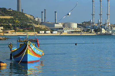 Recently Sold - Travel Pics Digital Art Royalty Free Images - Seagull. Luzzu. Marsaxlokk. Royalty-Free Image by Andy i Za