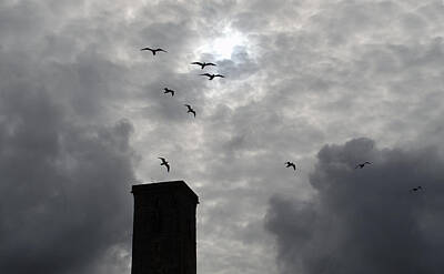 Grimm Fairy Tales Royalty Free Images - Seagulls Over St Rules Tower Royalty-Free Image by Adrian Wale