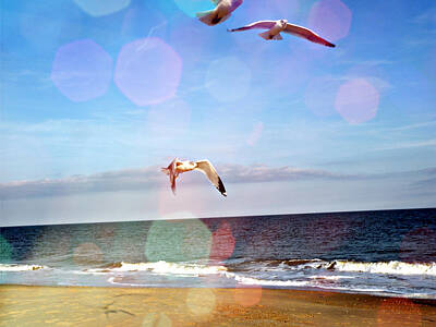 Birds Mixed Media Rights Managed Images - Seagulls Take Me Away Royalty-Free Image by Trish Tritz