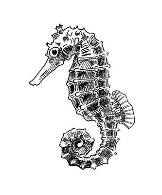 Abstract Drawings Rights Managed Images - Seahorse on White Royalty-Free Image by Masha Batkova