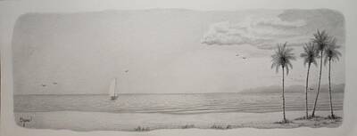 Beach Drawings - Seasail by Karen Black
