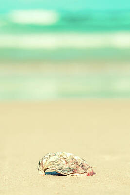 Ingredients Rights Managed Images - Seashell By The Sea Shore Royalty-Free Image by A Zen Rose
