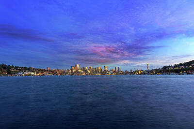 Sultry Plants Rights Managed Images - Seattle Skyline along Union Lake Royalty-Free Image by David Gn