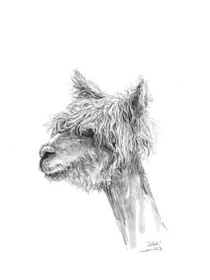 Mammals Drawings - Selah by Kristin Llamas