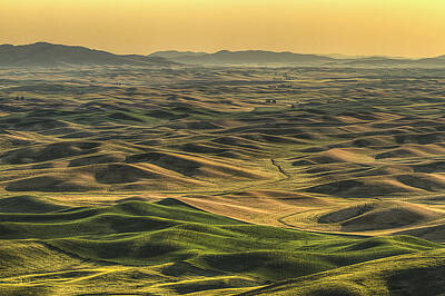 Abstract Landscape Rights Managed Images - Shades of the Palouse Royalty-Free Image by Mark Kiver
