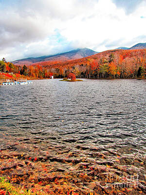 Fall Pumpkins - Shadow Lake Lincoln New Hampshire by Elizabeth Dow