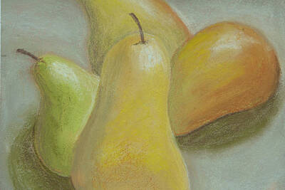 Food And Beverage Drawings - Shapely Pears by Cheryl Albert