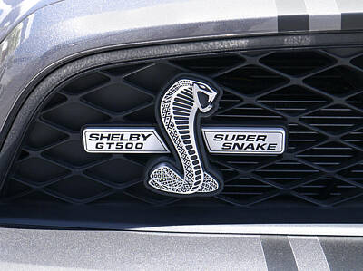 Reptiles Royalty Free Images - SHELBY GT 500 Super Snake Royalty-Free Image by Mike McGlothlen