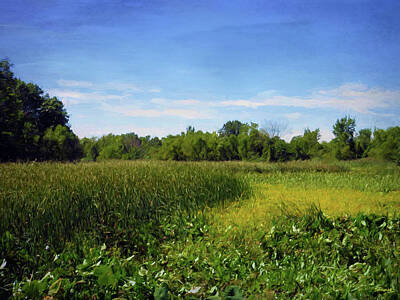 Priska Wettstein All About Plants - Sheldon Marsh - Summer Meadow 2 by Shawna Rowe