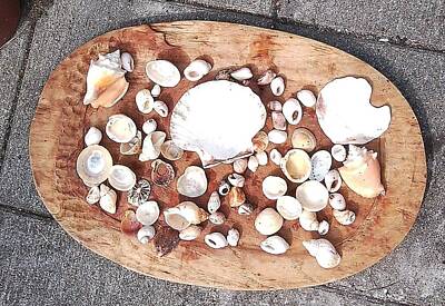Vintage Tees - Shells Board 1 by Julia Woodman
