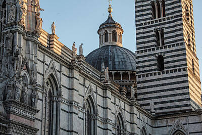 Bald Eagle - Siena Cathedral and Duomo  by John McGraw
