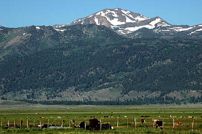 Egon Schiele - Sierra Cattle ranch by LeeAnn McLaneGoetz McLaneGoetzStudioLLCcom