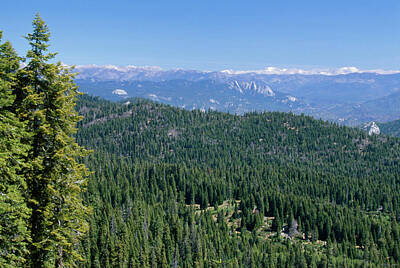 American Milestones - Sierra Nevada Range by Soli Deo Gloria Wilderness And Wildlife Photography