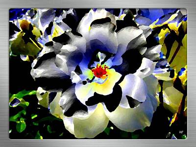 Roses Digital Art - Silver Rose by Will Borden
