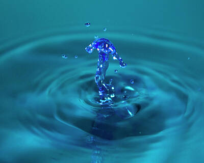 Botanical Farmhouse - Silver Surfer Water Droplet by Andrew Taylor