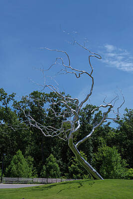 Monochrome Landscapes - Silver Tree by Jim Shackett