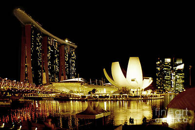 Cat Tees Rights Managed Images - Singapore 20 Royalty-Free Image by Ben Yassa