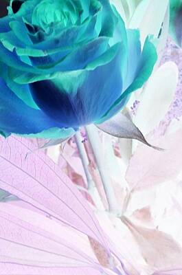 Staff Picks Cortney Herron - Single Neon Blue Rose by Linda Blackerby